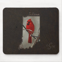 木製の背景で切り取られる基本的なインディアナ