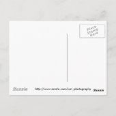 木製の覗き葉書 ポストカード (裏面)