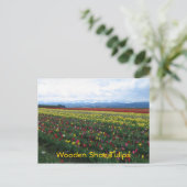 木製の靴チューリップ ポストカード (スタンド正面)