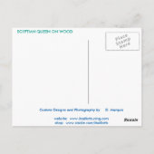 木製はがき上のEGPTIAN QUEEN ポストカード (裏面)