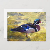 木製アヒル#1-2はがき ポストカード (正面/裏面)