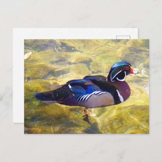 木製アヒル#1-2はがき ポストカード (正面/裏面)