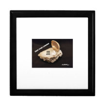 木製ジュエリーキープサクボックスシーシェルパーソナライズ