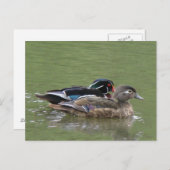 木製ダックペアはがき ポストカード (正面/裏面)