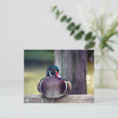 木製ダック葉書 ポストカード (スタンド正面)