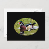 木製ダック葉書 ポストカード (正面/裏面)