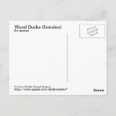 木製ダック（女性）はがき ポストカード (裏面)