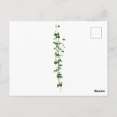 木製ニンフ妖精の女の子金ゴールド明るい森フローラ ポストカード (裏面)