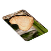 木製ハート マグネット (右側)