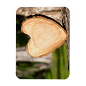 木製ハート マグネット (縦)