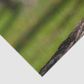 木製ハート 薄葉紙 (詳細)