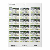 木製フェンスのラベル ラベル (フルシート)