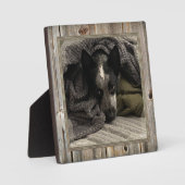 木製フレームフェイク付きスタンド写真HAMbWG フォトプラーク (正面)