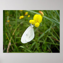 木製ホワイトバタフライポスター ポスター