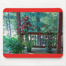 木製ポーチの開花植物3