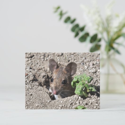 木製マウスはがき ポストカード (スタンド正面)