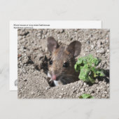 木製マウスはがき ポストカード (正面/裏面)