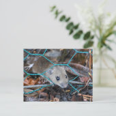 木製マウス ポストカード (スタンド正面)