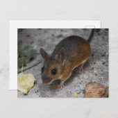 木製マウス ポストカード (正面/裏面)