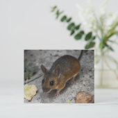 木製マウス ポストカード (スタンド正面)