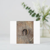 木製マウス ポストカード (スタンド正面)