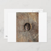 木製マウス ポストカード (正面/裏面)