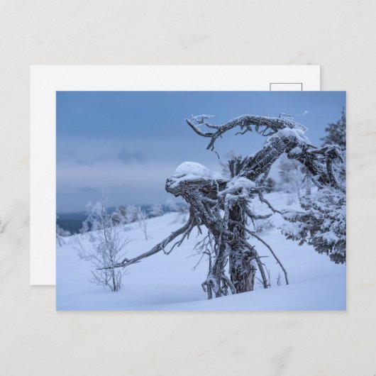 木製凍っていエイリアンはがき ポストカード (正面/裏面)