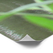 木製足橋 ポスター (角)