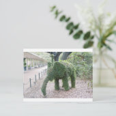 木象 ポストカード (スタンド正面)