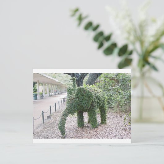 木象 ポストカード (スタンド正面)