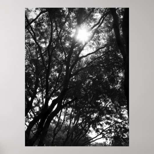 木輝くの中へ ポスター (正面)