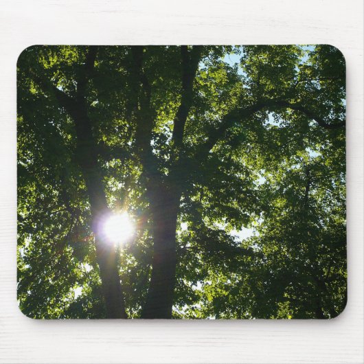 木輝く間の太陽 マウスパッド (正面)