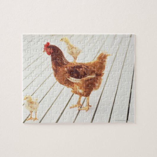 木造の床に鶏と雛が二羽 ジグソーパズル (横)