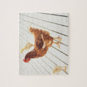 木造の床に鶏と雛が二羽 ジグソーパズル (縦)