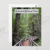 木造の橋とセコイア |レッドウッド国立公園 ポストカード (正面/裏面)