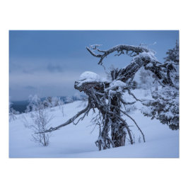 木造エイリアン冬 ポスター