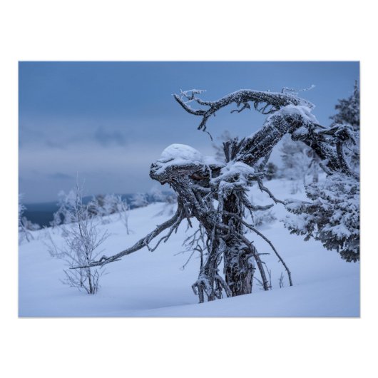 木造エイリアン冬 ポスター (正面)