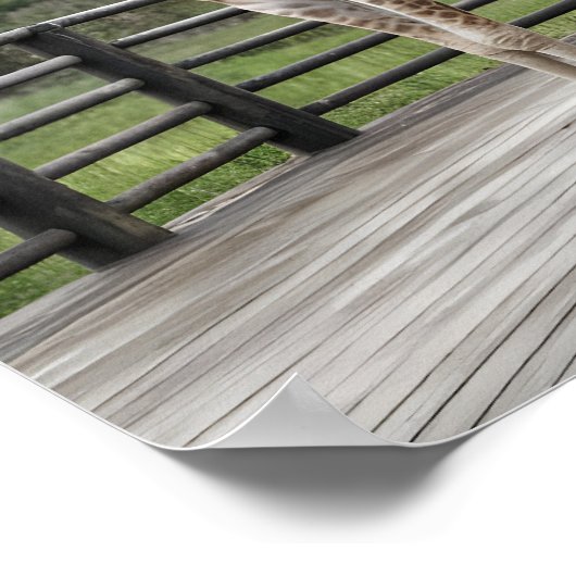 木造エレガントデッキのキリンとゾウのペア ポスター (角)