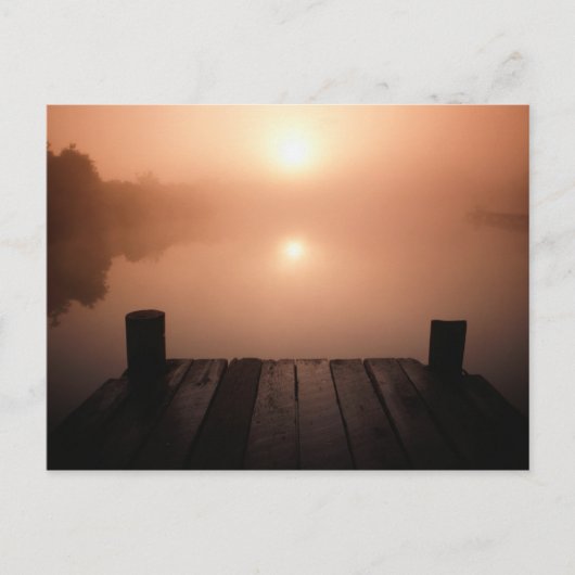 木造ジェットオンレイクアットサンセット |ニューオーリンズ、LA ポストカード (正面)