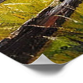 木造転がフェンス付きの風光明媚な丘 ポスター (角)