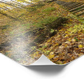 木造階段州公園 フォトプリント            (角)