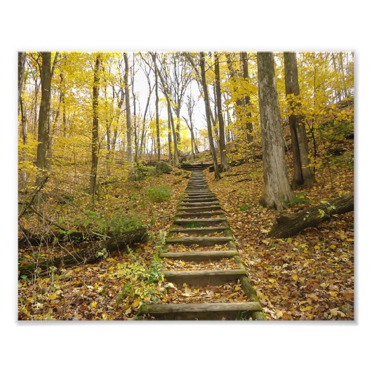 木造階段州公園 フォトプリント            (正面)