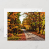 木道と秋の葉 ポストカード (正面/裏面)