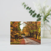 木道と秋の葉 ポストカード (スタンド正面)