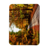 木道と秋の葉 マグネット (縦)