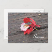 木道に咲く孤独な炎の木 ポストカード (正面/裏面)