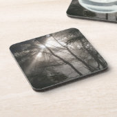 木陰の森を抜ける日光 コースター (左側)