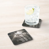 木陰の森を抜ける日光 コースター (右側)