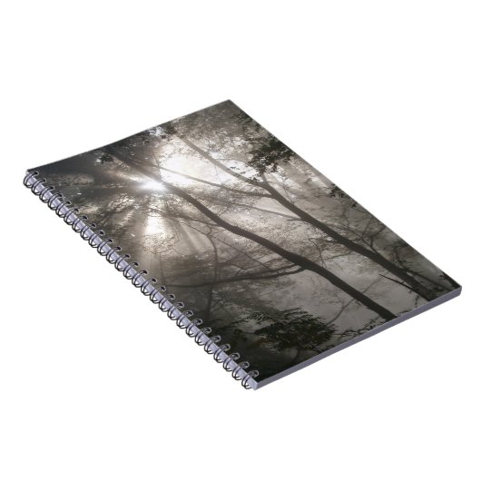 木陰の森を抜ける日光 ノートブック (右側)