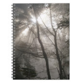木陰の森を抜ける日光 ノートブック (正面)